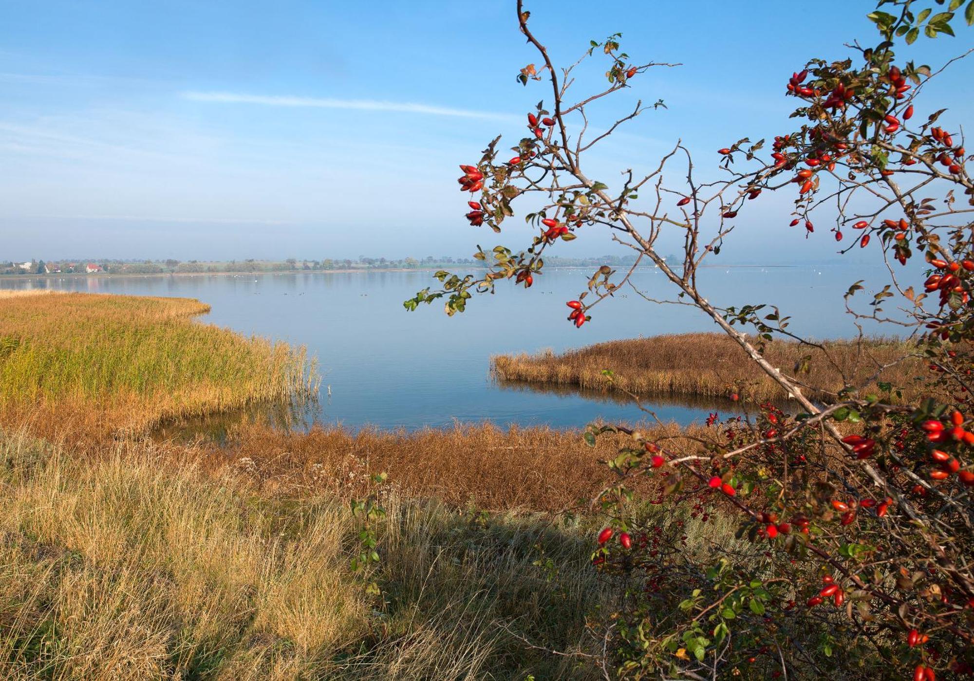 Appartements Am Reiterhof Klabautermann Insel Poel Esterno foto