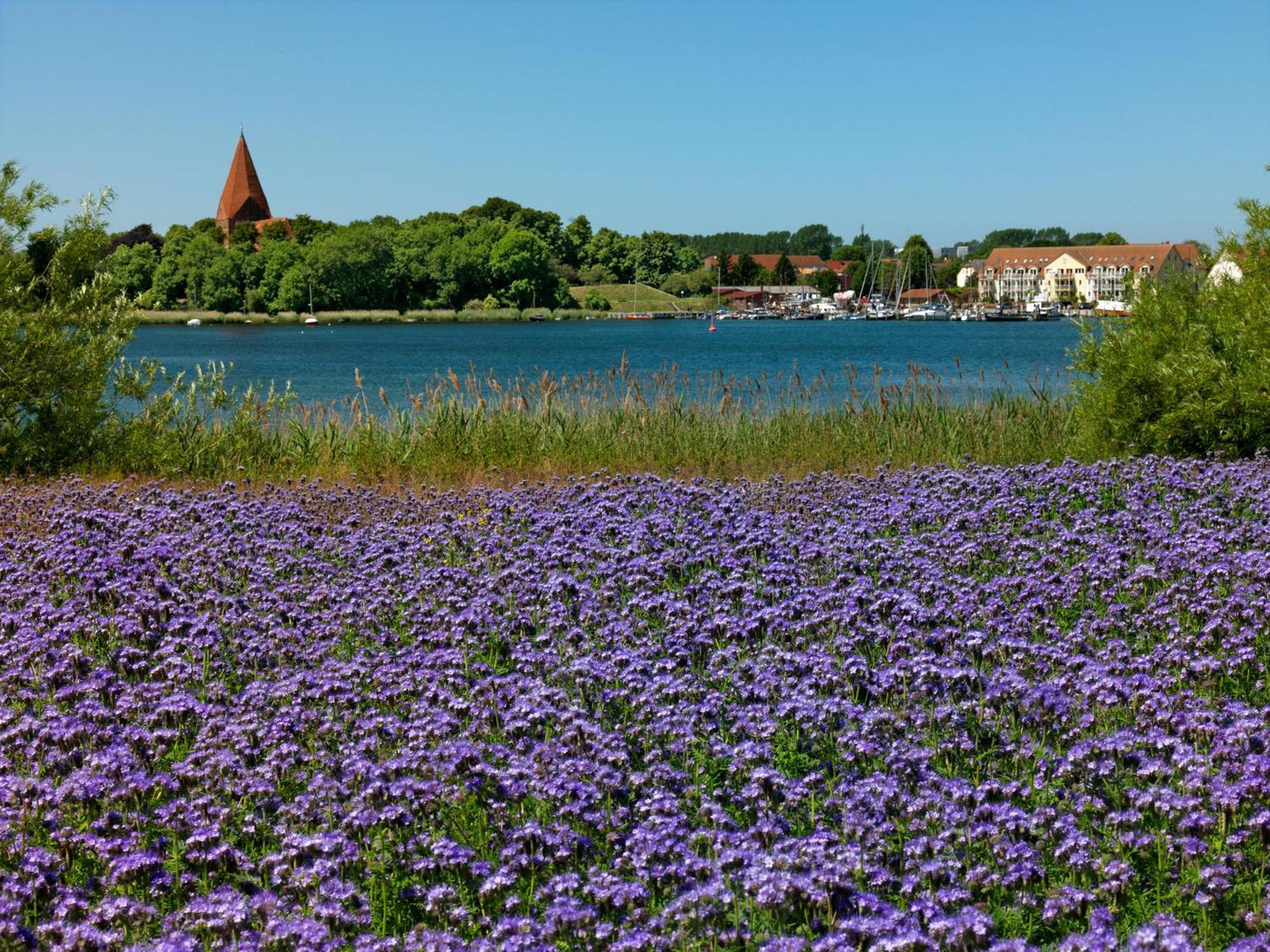 Appartements Am Reiterhof Klabautermann Insel Poel Esterno foto